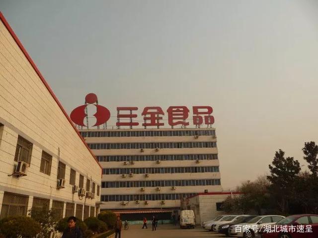 武汉江夏迎来食品加工龙头企业，一期投资8亿元打造产业新高地